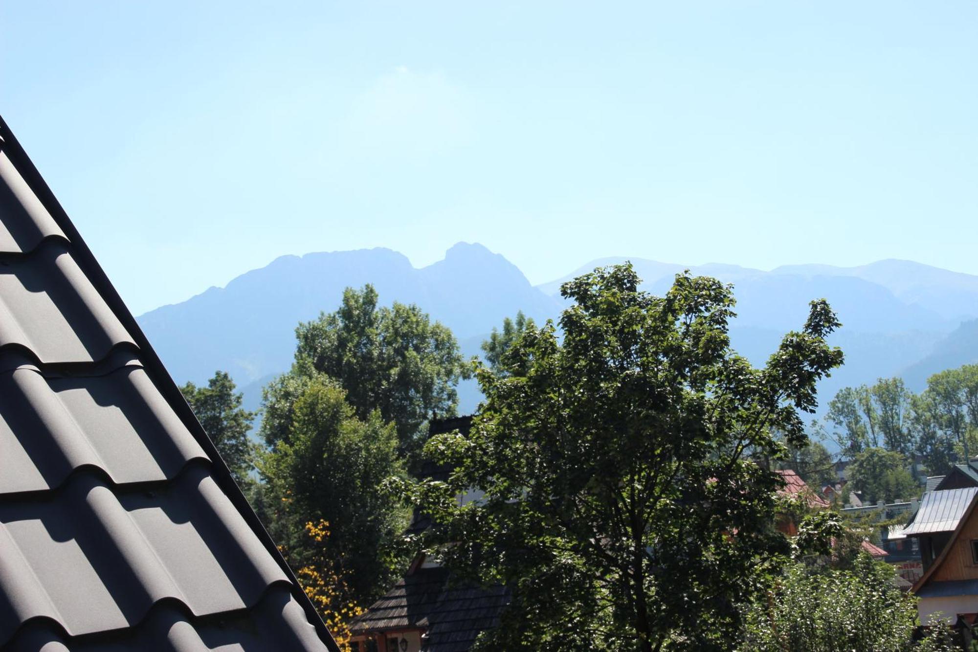 Zakosunflower, Zakopane